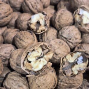 NUECES C/C CHILE + 34